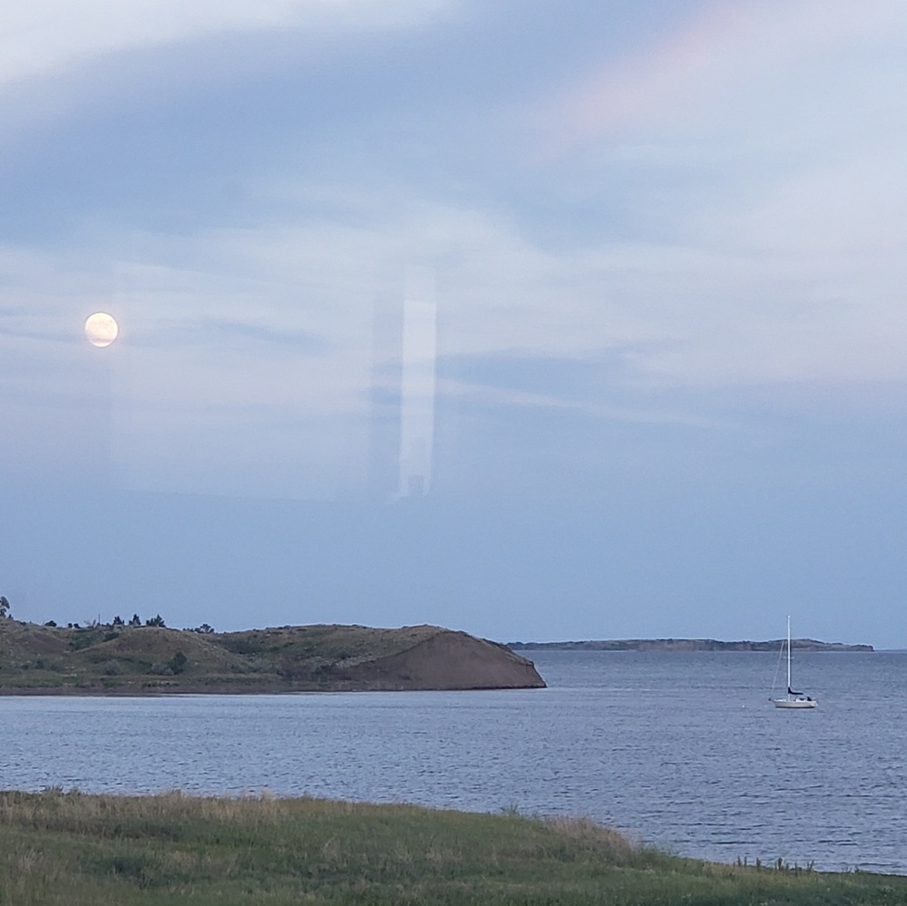 Meet your Posher, Tamie